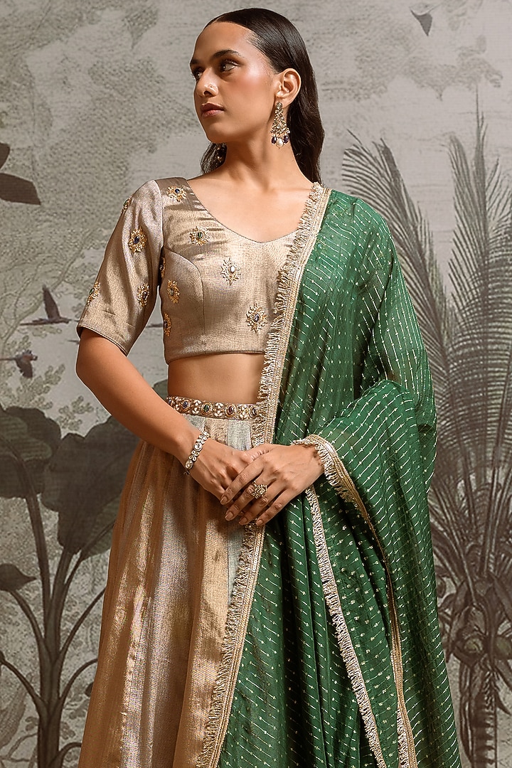 Antique Gold & Silver Banarasi Wedding Lehenga Set by Parshya at Pernia's Pop Up Shop