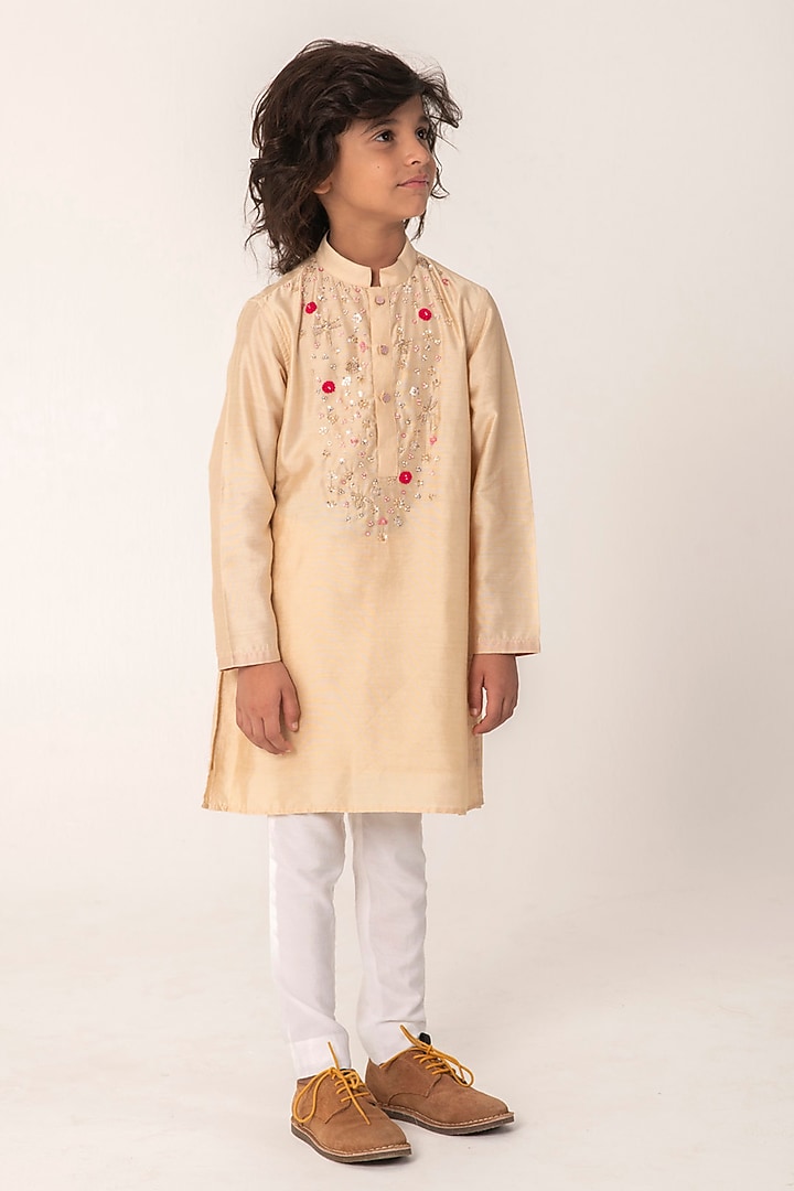 Golden Beige Chanderi Embroidered Kurta Set For Boys by Partykles at Pernia's Pop Up Shop