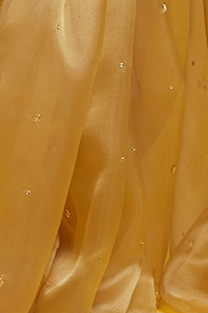 Gold Organza Crystal & Boota Embroidered Party Wear Saree Set by Phatakaa at Pernia's Pop Up Shop