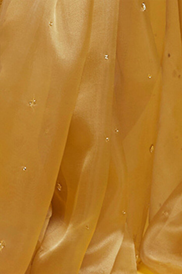Gold Organza Crystal & Boota Embroidered Pre-Draped Wedding Saree Set by Phatakaa at Pernia's Pop Up Shop
