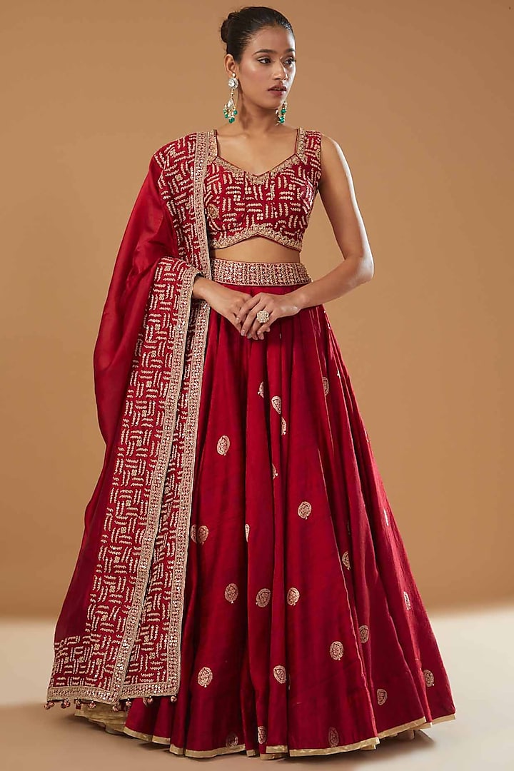 Red Banarasi Silk & Organza Silk Embroidered Lehenga Set by Punit Balana