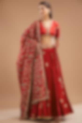Red Banarasi Weaved Silk Embroidered Lehenga Set by Punit Balana