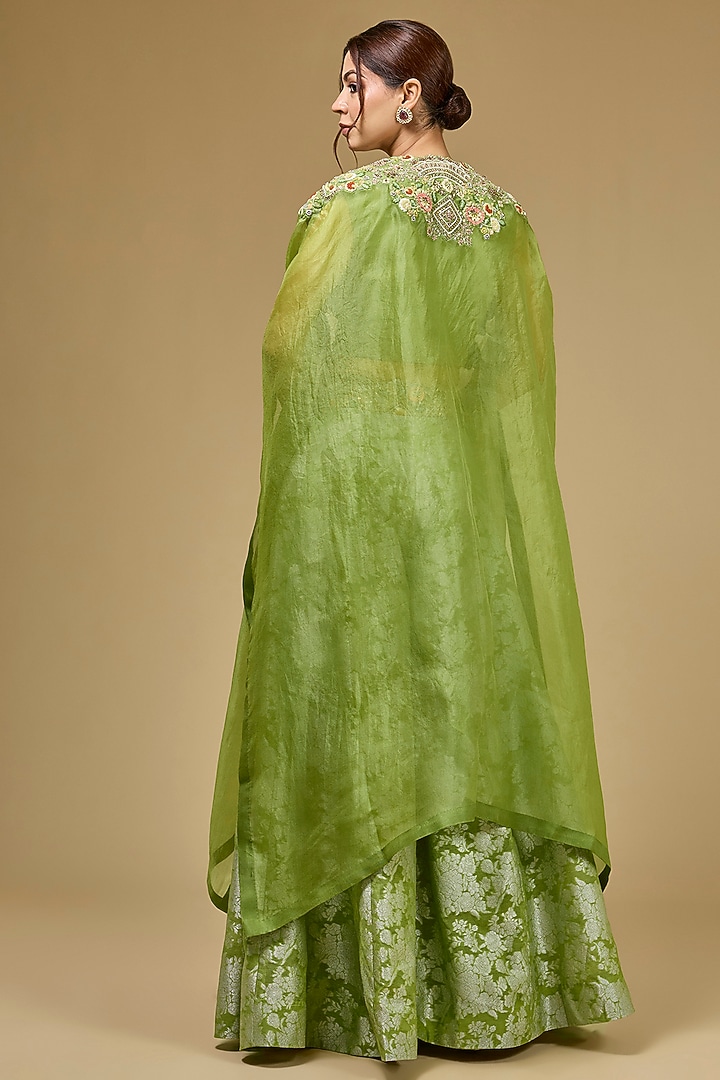 Pista Green Organza Hand & Machine Embroidered Cape Set by Petticoat Lane at Pernia's Pop Up Shop
