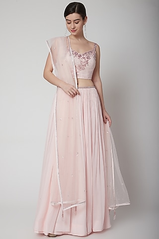 Blush Pink Hand Embroidered Lehenga Set by Pooja Peshoria