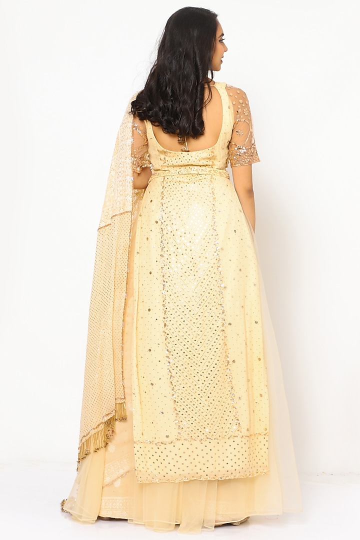 Light Beige Lucknowi Reception Saree Set With Corset Belt by PhD  by House of PiaDeeksh at Pernia's Pop Up Shop