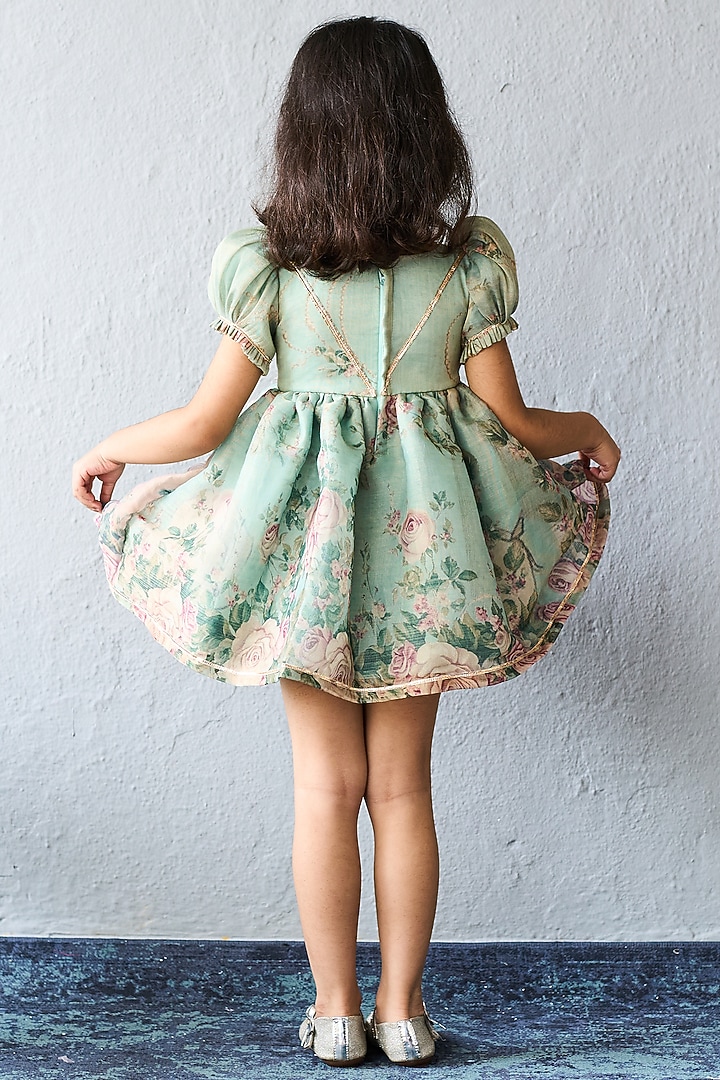 green velvet dress for christmas Diaz Pastel Green Printed Cotton Dress