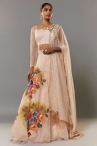 Light Peach Organza Hand Painted & Embroidered Lehenga Set by Priyanka Jha
