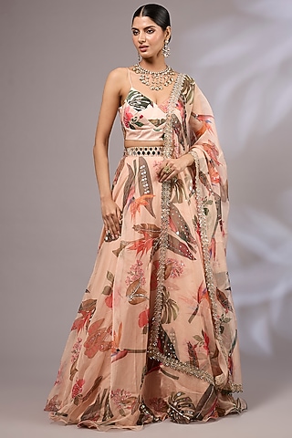 Light Peach Net Printed & Hand Painted Lehenga Set by Priyanka Jha