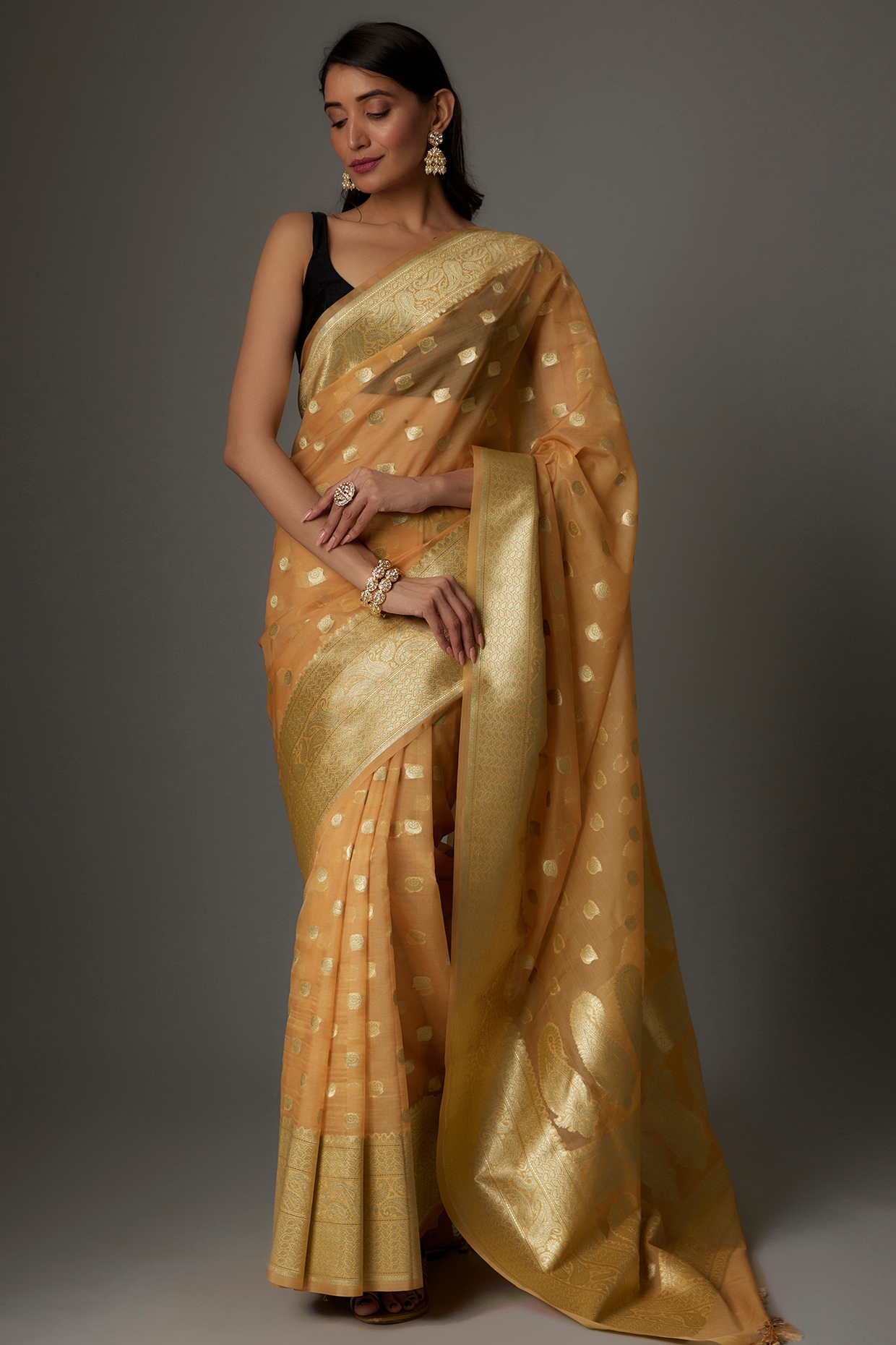 Beige Wild Rose Dori Organza Saree – Love Summer