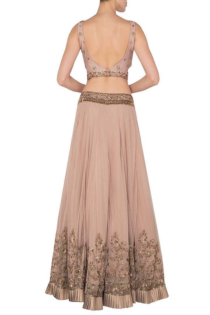 Blush Pink Net Embroidered Frilled Lehenga Set For Girls by Pleats by Kaksha - Kids at Pernia's Pop Up Shop