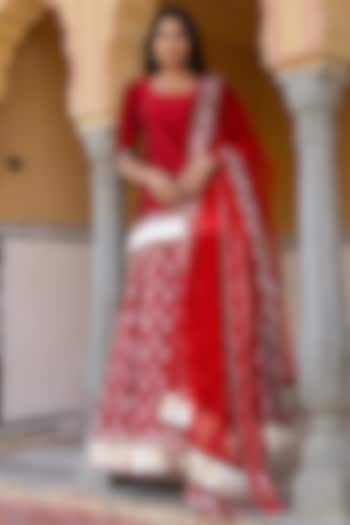 Red Cotton Printed & Gota Patti Work Skirt Set by Pomcha Jaipur