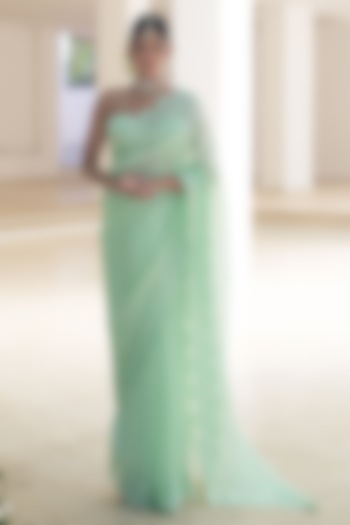 Mint Green Natural Organza Embroidered Party Wear Saree Set by Pooja Bagaria at Pernia's Pop Up Shop