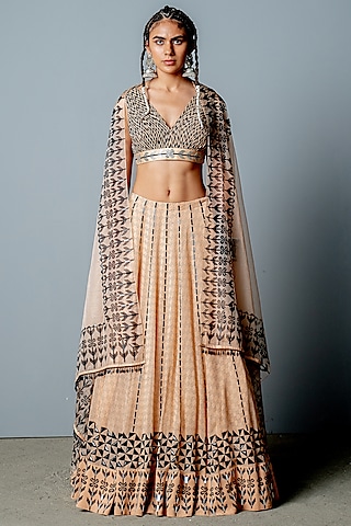 Nude Georgette & Organza Hand-Embroidered Lehenga Set by POOJA RAJGARHIA GUPTA