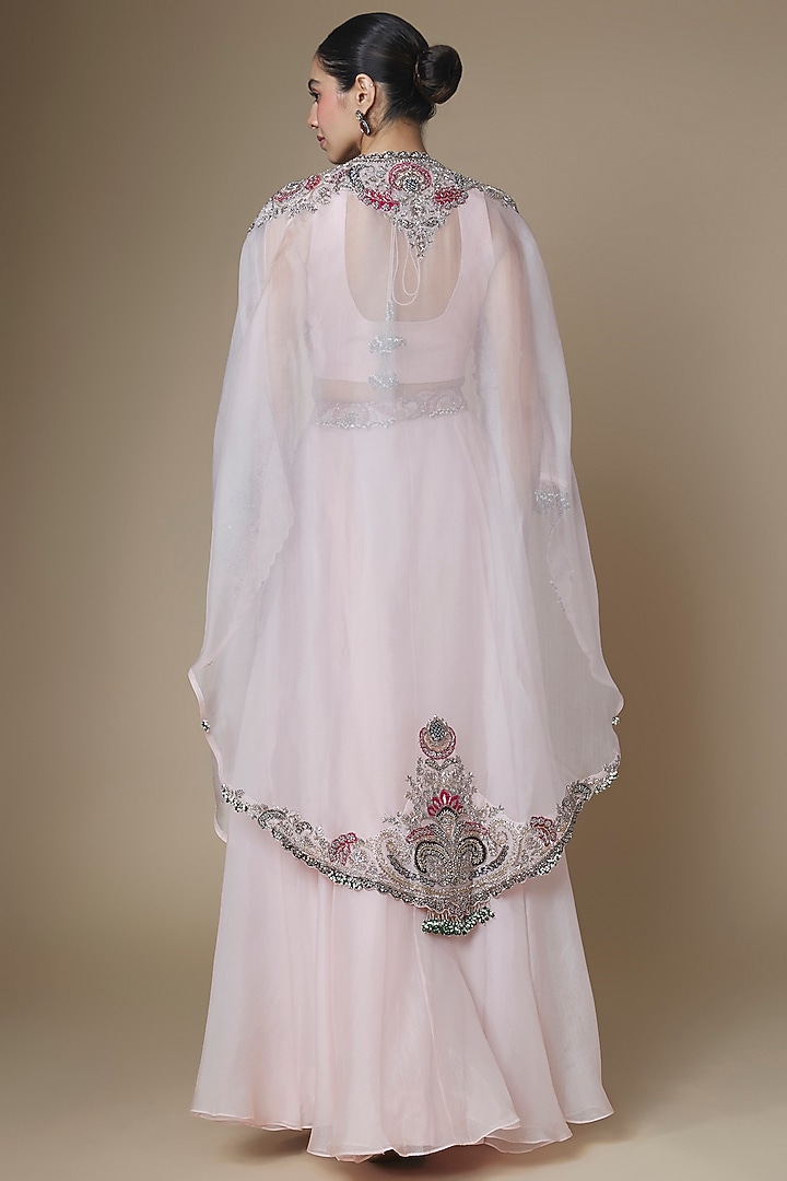 Flamingo Organza Applique Work Skirt Set by Prisho at Pernia's Pop Up Shop
