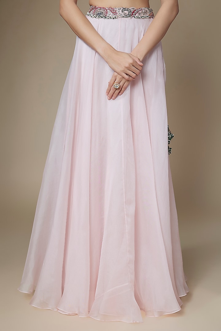 Flamingo Organza Applique Work Skirt Set by Prisho at Pernia's Pop Up Shop