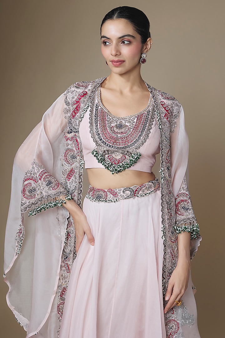 Flamingo Organza Applique Work Skirt Set by Prisho at Pernia's Pop Up Shop