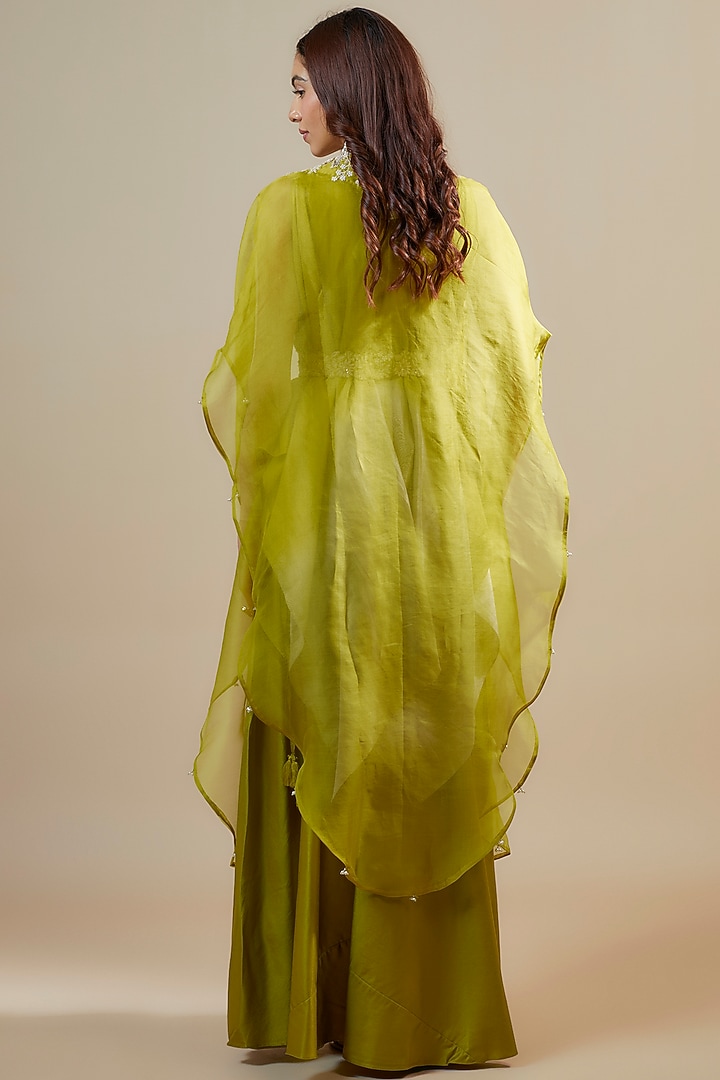 Lime Green Organza Resham Work Cape Set by Prisho at Pernia's Pop Up Shop