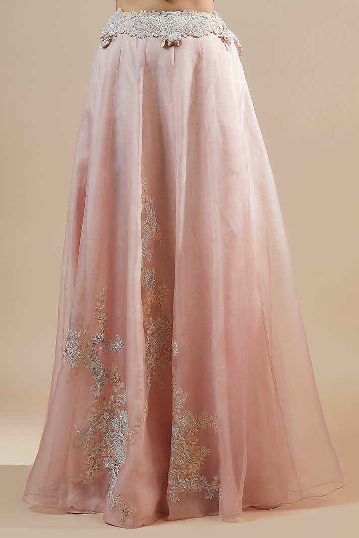 Pink Organza Zari Embroidered Kalidar Skirt Set by Prisho at Pernia's Pop Up Shop