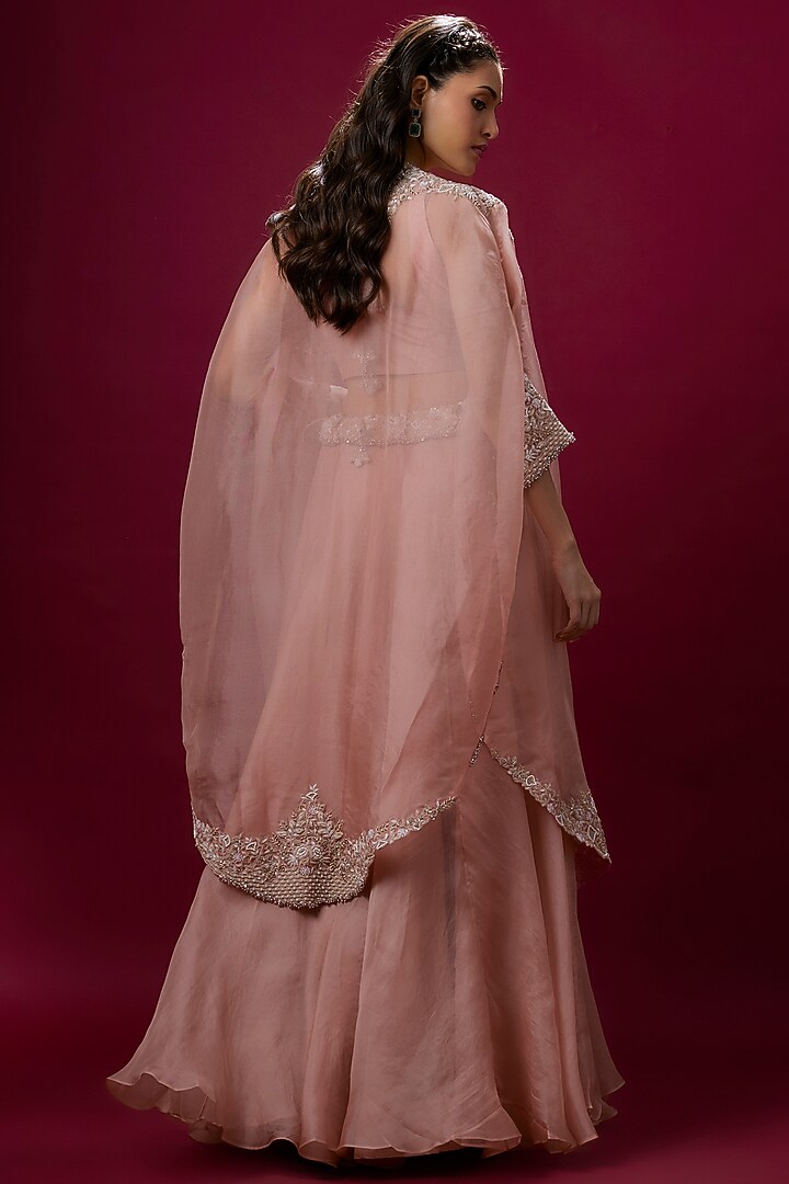 Flamingo Organza Resham Work Cape Set by Prisho at Pernia's Pop Up Shop