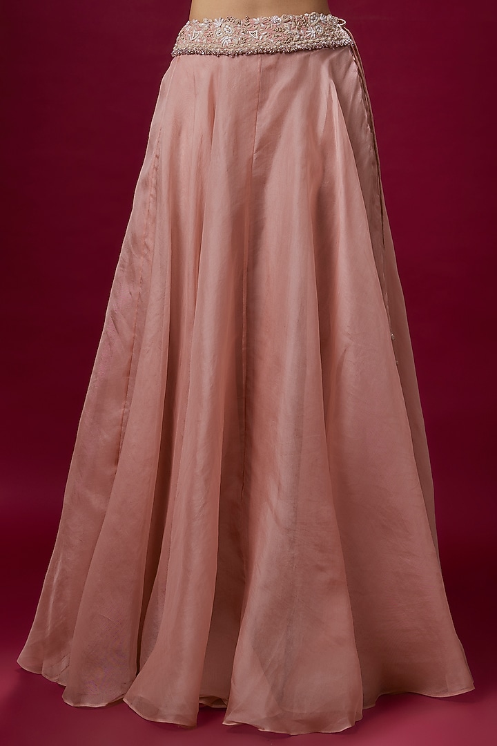 Flamingo Organza Resham Work Cape Set by Prisho at Pernia's Pop Up Shop
