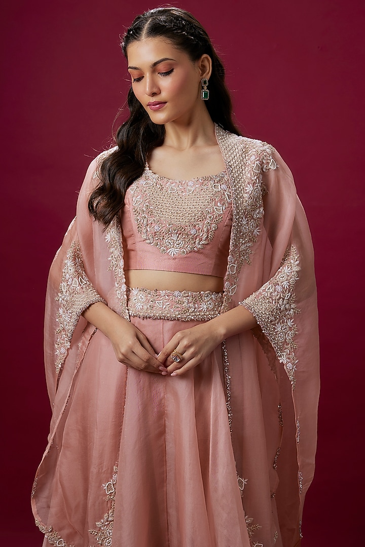 Flamingo Organza Resham Work Cape Set by Prisho at Pernia's Pop Up Shop