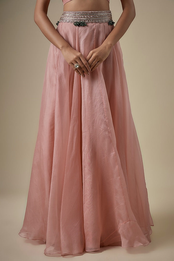 Flamingo Organza Maal Work Cape Set by Prisho at Pernia's Pop Up Shop