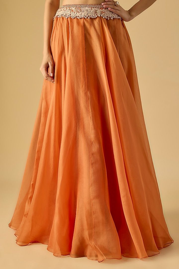 Rust Organza Resham Work Cape Set by Prisho at Pernia's Pop Up Shop