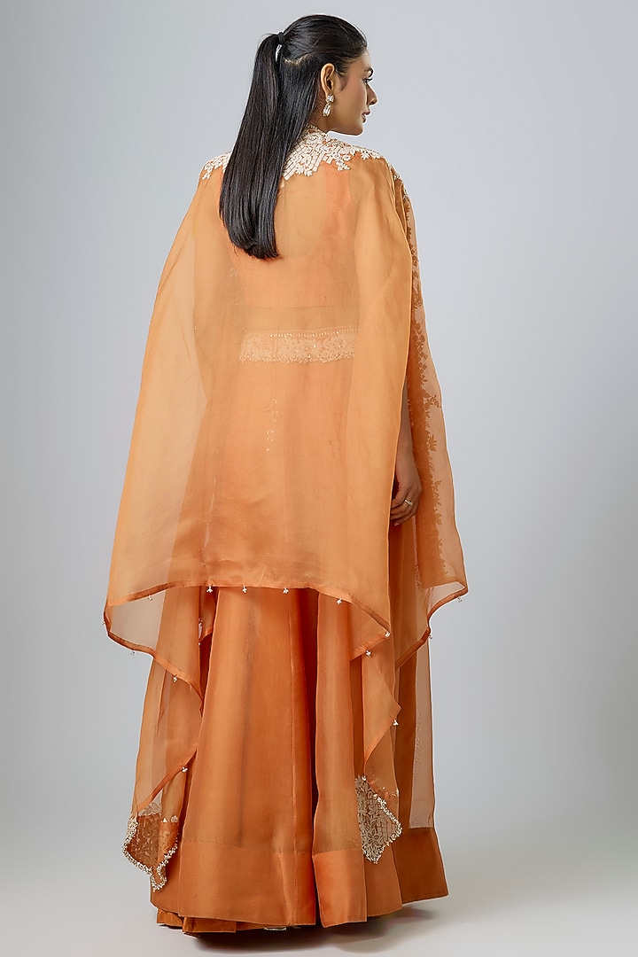 Rust Orange Organza Resham Work Cape Set by Prisho at Pernia's Pop Up Shop