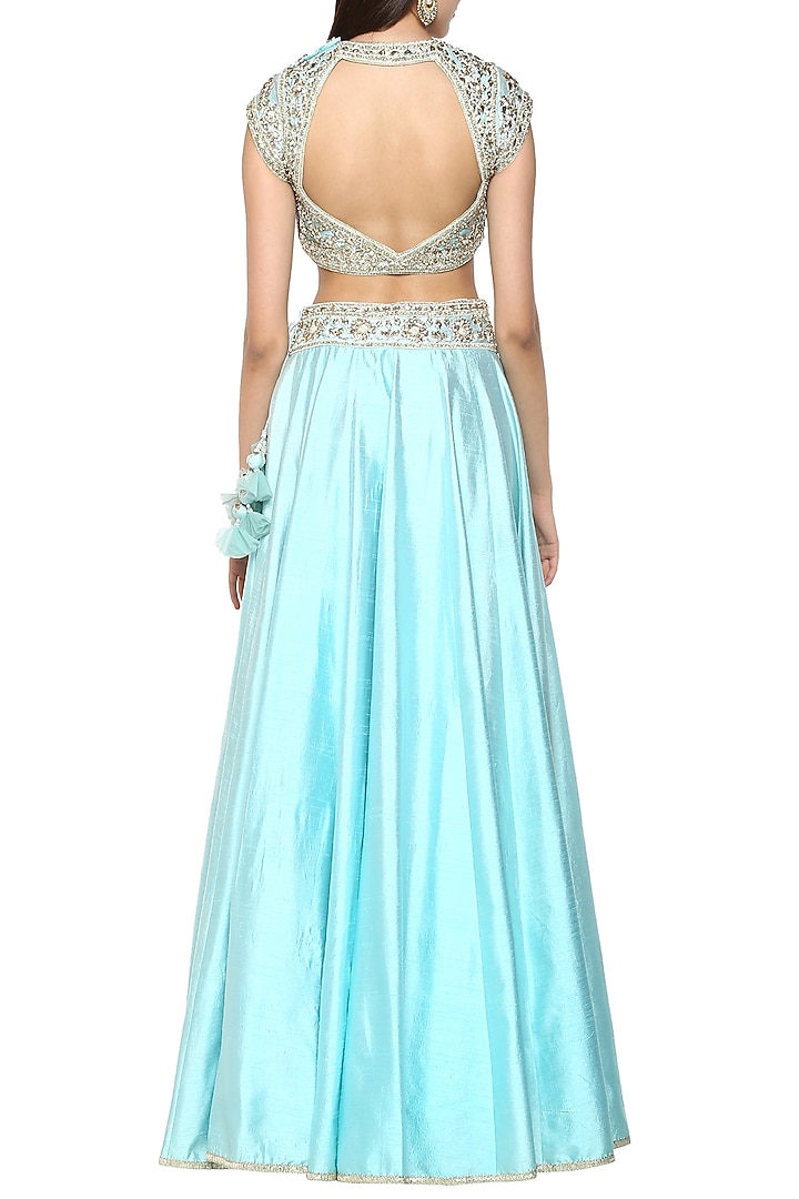 Sky Blue Handcrafted Embroidered Lehenga Set