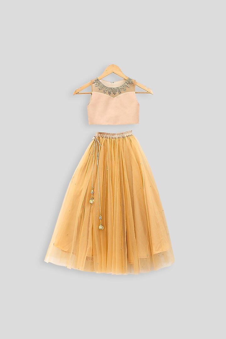 Beige Embroidered Crop Top With Skirt For Girls by PWN