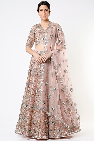 Light Rose Pink Embroidered & Printed Lehenga Set by Payal Singhal