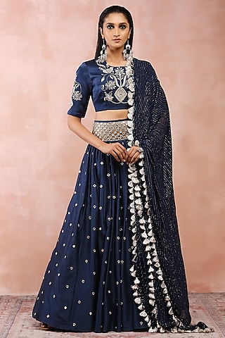 Navy Silk Mul Embroidered Lehenga Set by Payal Singhal