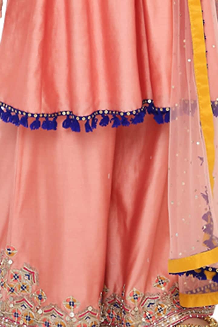 Coral Embroidered Short Wedding Anarkali Set by Payal Singhal at Pernia's Pop Up Shop