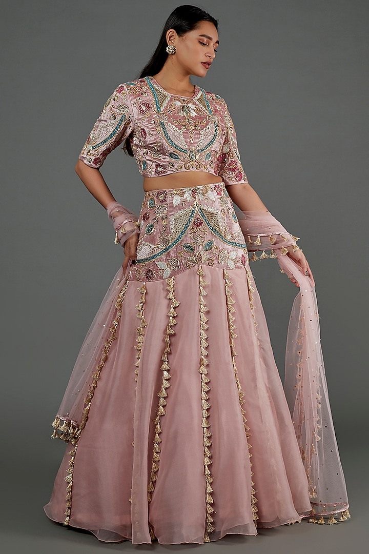 Blush Pink Embroidered Lehenga Set by Payal Singhal