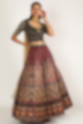 Brown & Beige Embroidered Lehenga Set by Payal Zinal