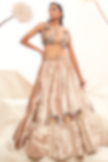 Champagne Velvet Mirror Embroidered Wedding Lehenga Set by Payal Zinal at Pernia's Pop Up Shop
