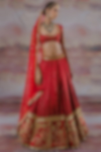 Red Embroidered Lehenga Set by Payal Zinal