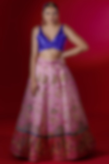Blush Pink Embroidered Skirt Set by Payal Zinal