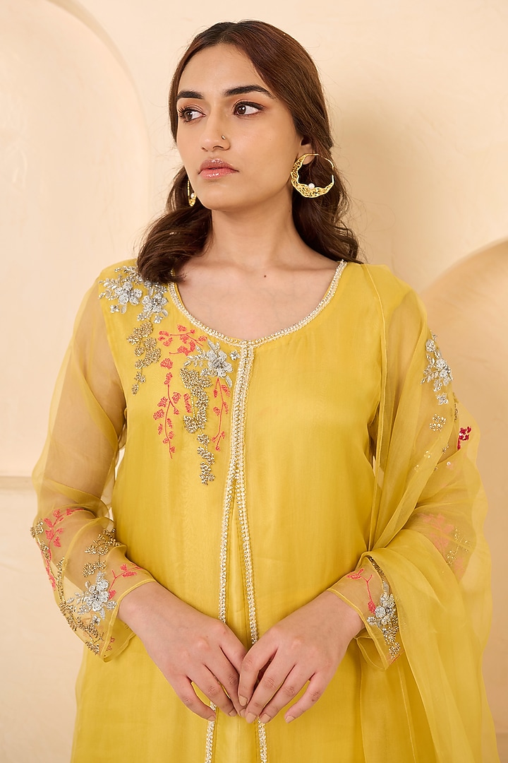 Yellow Organza Hand Embroidered Straight Kurta Set by Radha Sharma at Pernia's Pop Up Shop