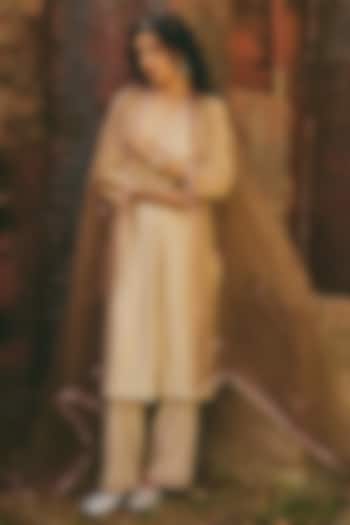 Brown Organza Hand Embroidered Sheer Dupatta by RASHIKA MITTAL at Pernia's Pop Up Shop