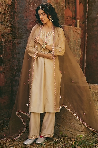 Brown Organza Hand Embroidered Sheer Dupatta by RASHIKA MITTAL