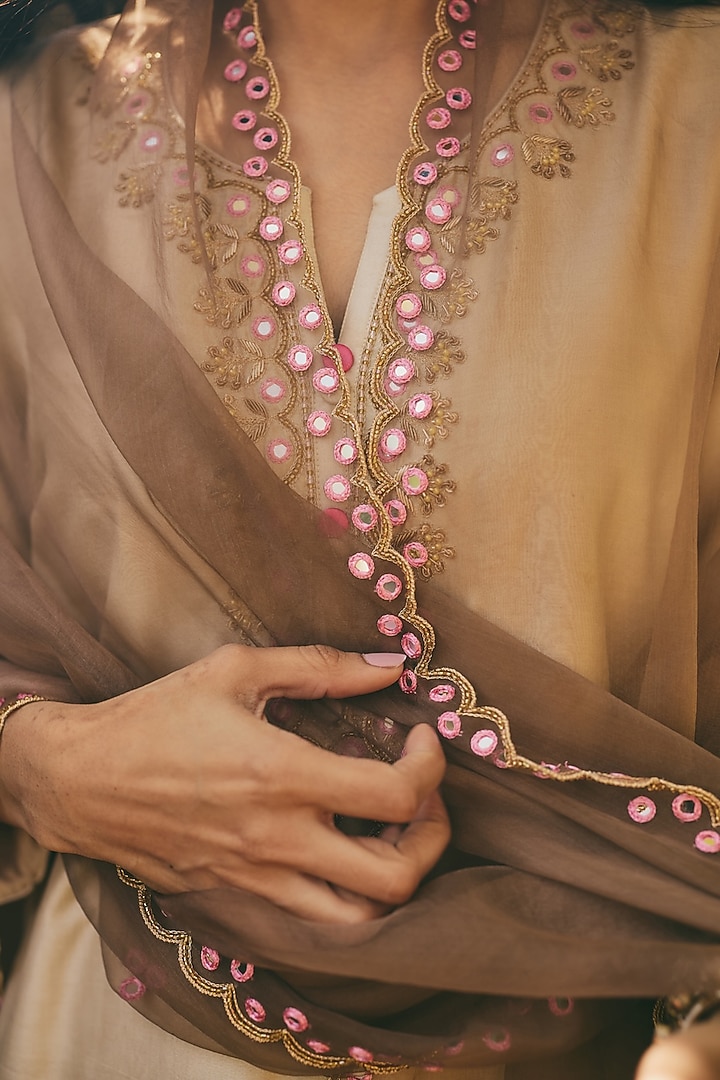 Brown Organza Hand Embroidered Sheer Dupatta by RASHIKA MITTAL at Pernia's Pop Up Shop