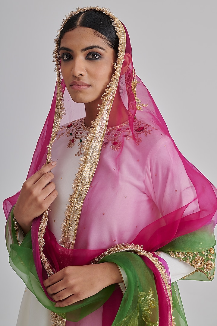 Multi-Colored Organza Hand Embroidered Dupatta by RASHIKA MITTAL at Pernia's Pop Up Shop