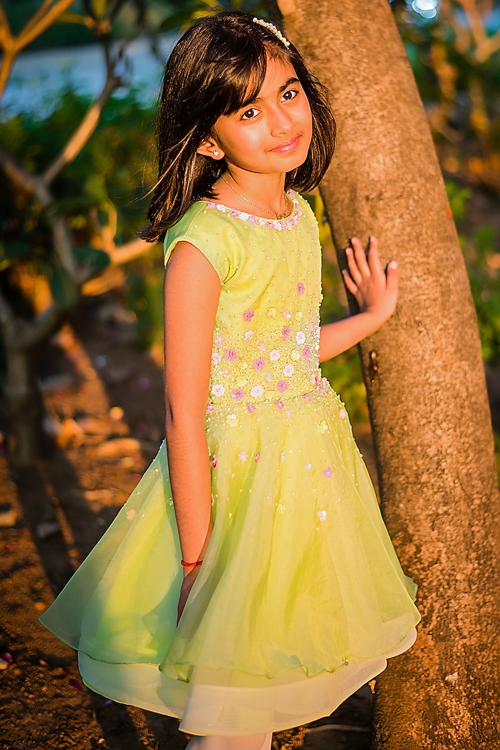 Parrot Green Organza Embroidered Dress For Girls by Rani kidswear