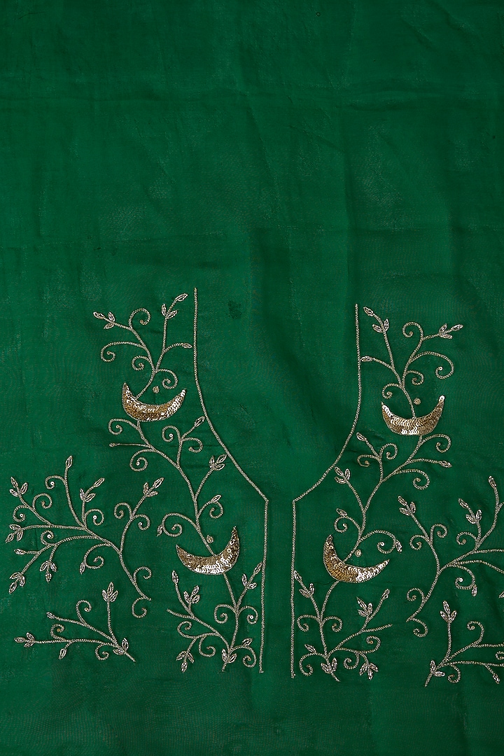 Green Pure Silk Organza Hand Embroidered Party Wear Saree Set by Ranbir Mukherjee at Pernia's Pop Up Shop