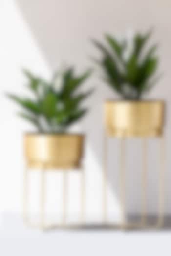 Handmade Champagne Gold Iron Planter (Set of 2) by The Decor Remedy at Pernia's Pop Up Shop