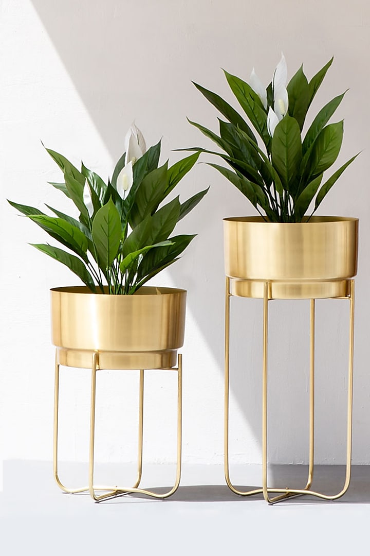 Handmade Champagne Gold Iron Planter (Set of 2) by The Decor Remedy at Pernia's Pop Up Shop