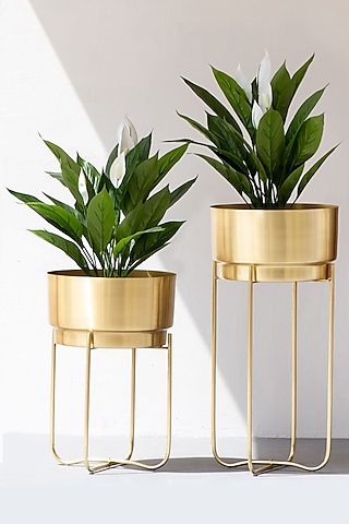 Handmade Champagne Gold Iron Planter (Set of 2) by The Decor Remedy