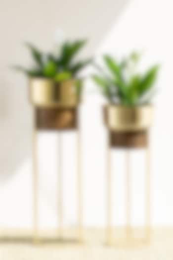 Handmade Isabella Iron Planter In Gold (Set Of 2) by The Decor Remedy