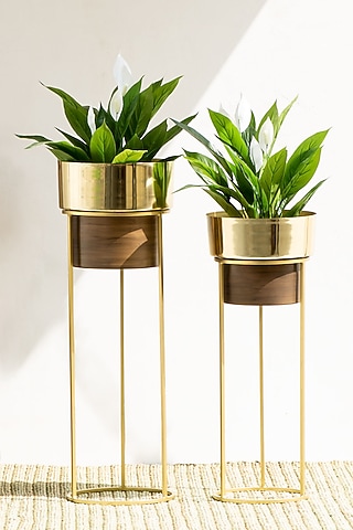 Handmade Isabella Iron Planter In Gold (Set Of 2) by The Decor Remedy